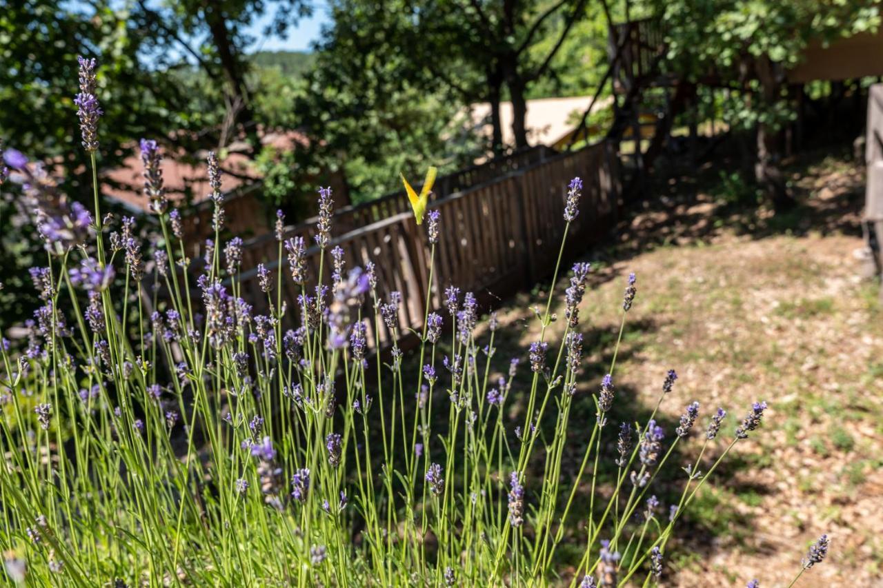 Domaine De Chalveches Hotel Spa 4* Faugeres  Exterior foto